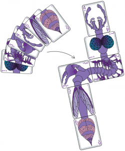 Teratozoic | Modern Evil Press